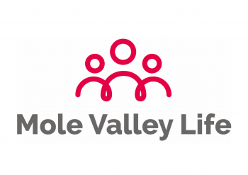 MVL logo (grey and red)