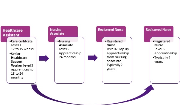 A series of vertical boxes that give an example of apprenticeship pathways to higher education. The first box is for a healthcare assistant, the second box is for a nursing associate, the third and fourth box are pathways to becoming a registered nurse.