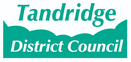 Tandridge District Council logo